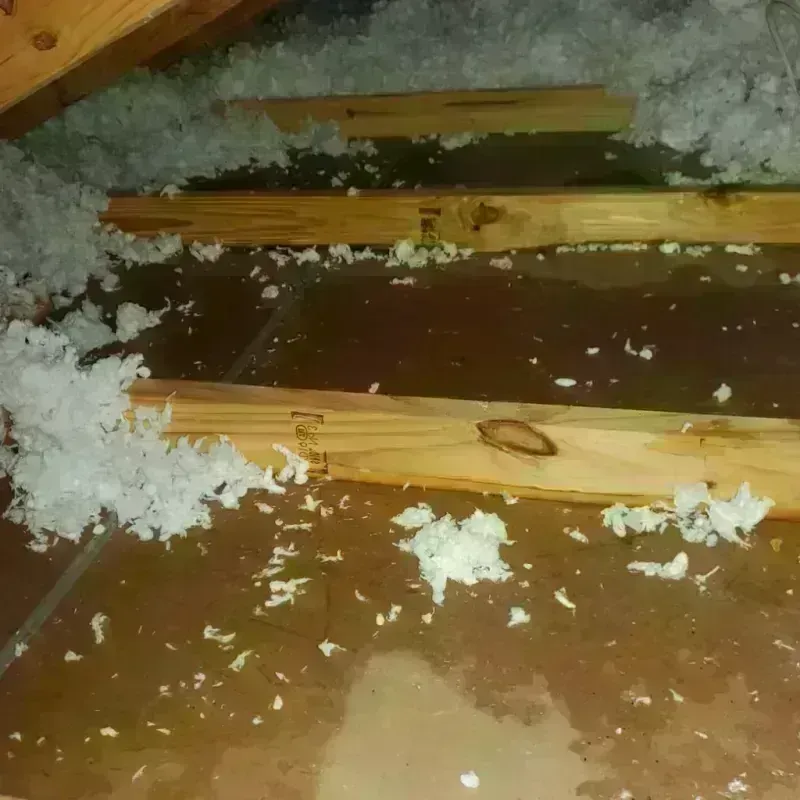 Attic Water Damage in Thomasboro, IL