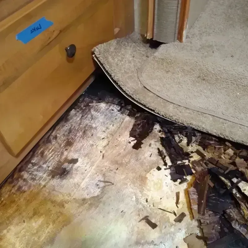 Wood Floor Water Damage in Thomasboro, IL